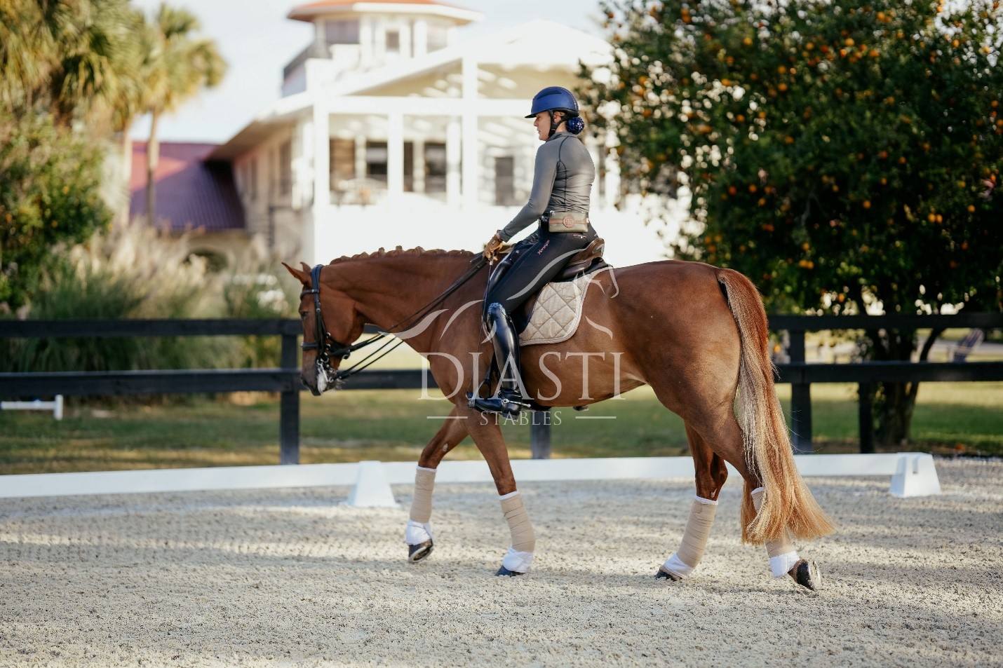 Diasti Stables Celebrates One Year Anniversary as Premier Equestrian Training Destination