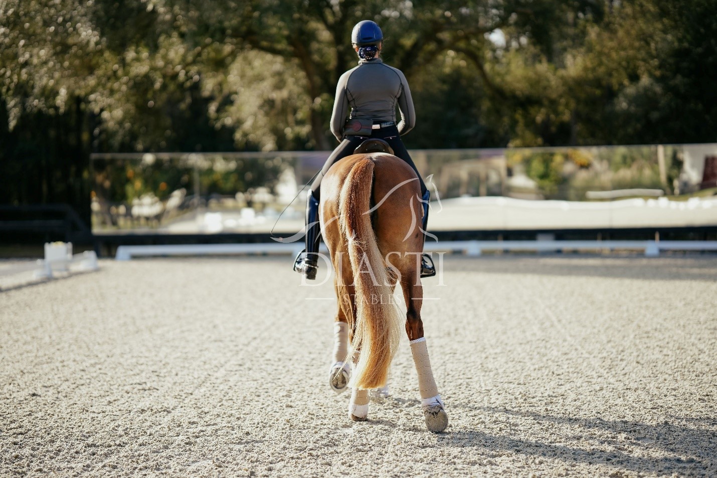 Diasti Stables Equine Facility Unveils its Dressage Arena