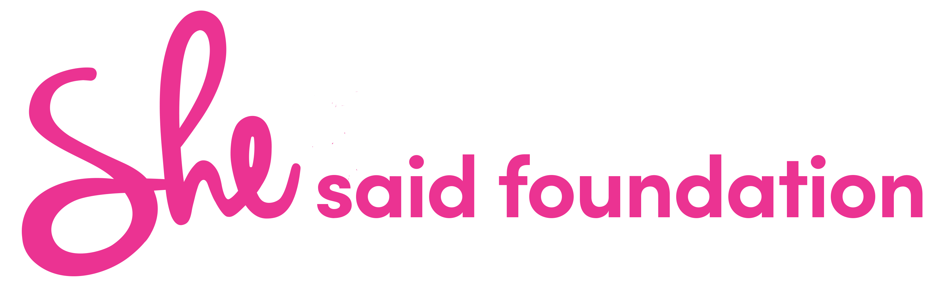 She Said Foundation