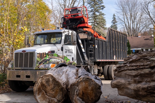 Tree Service of Troy Announces Exciting Rebrand to Galaxy Tree Service