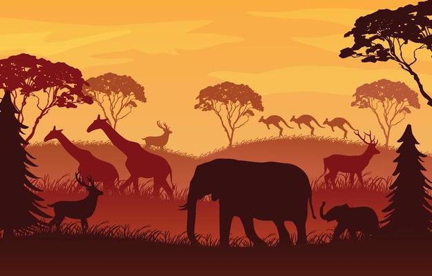 Driving Successful Lives Encourages Land Donations for Wildlife Preservation