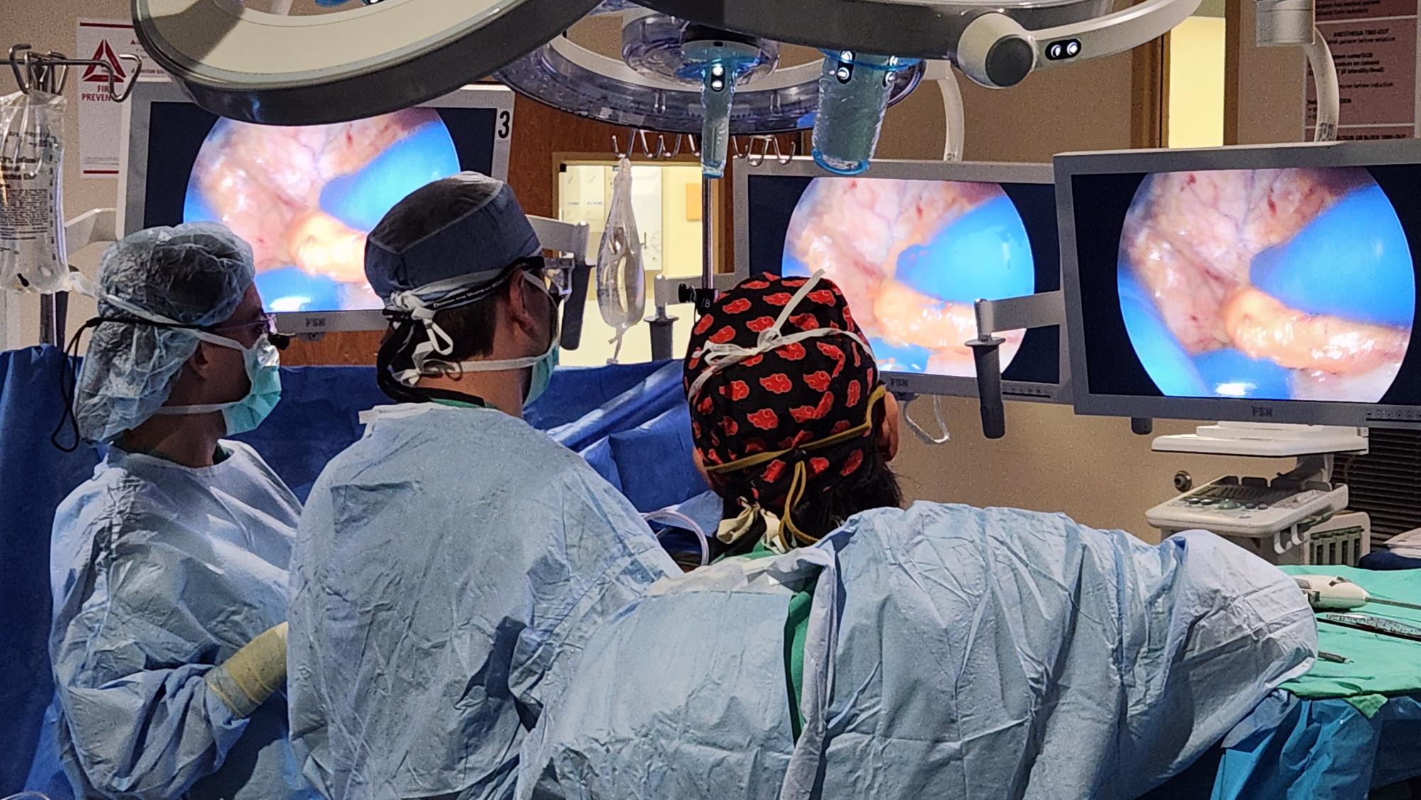 Intermountain Health’s Adult Organ Transplant Program Again Achieves Record-Breaking Milestone Year
