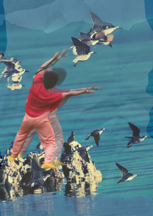 Dance and Ecology Intertwine in Feathered Tides at part of the Wake the Great Salt Lake Public Art Project