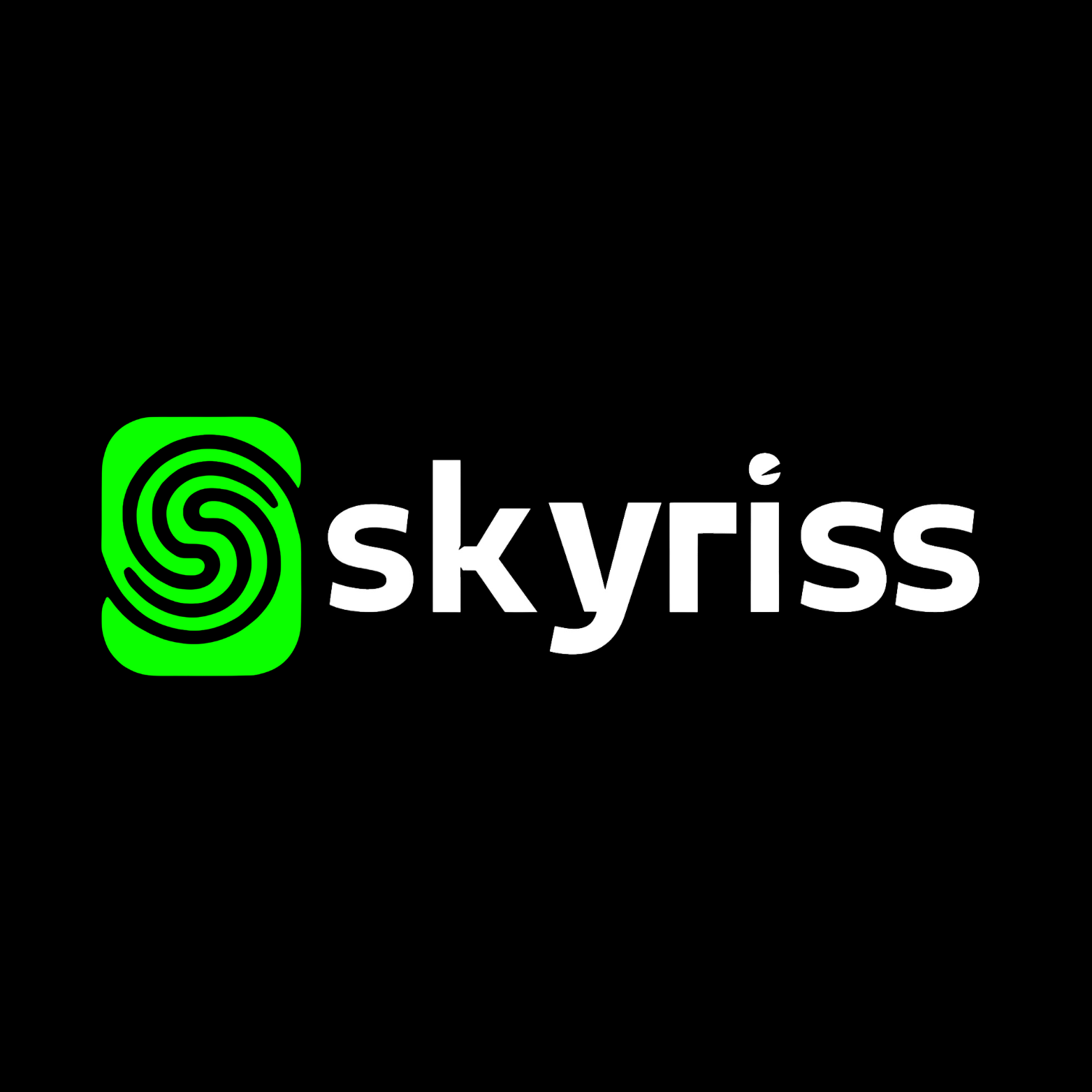 Skyriss Securities LTD logo