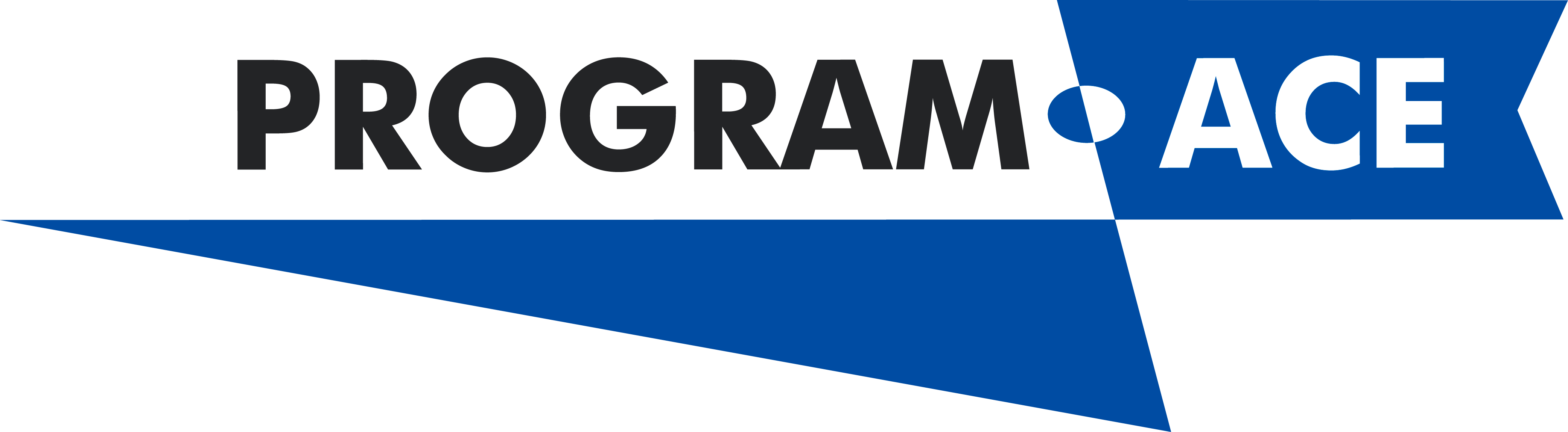 Program-Ace logo