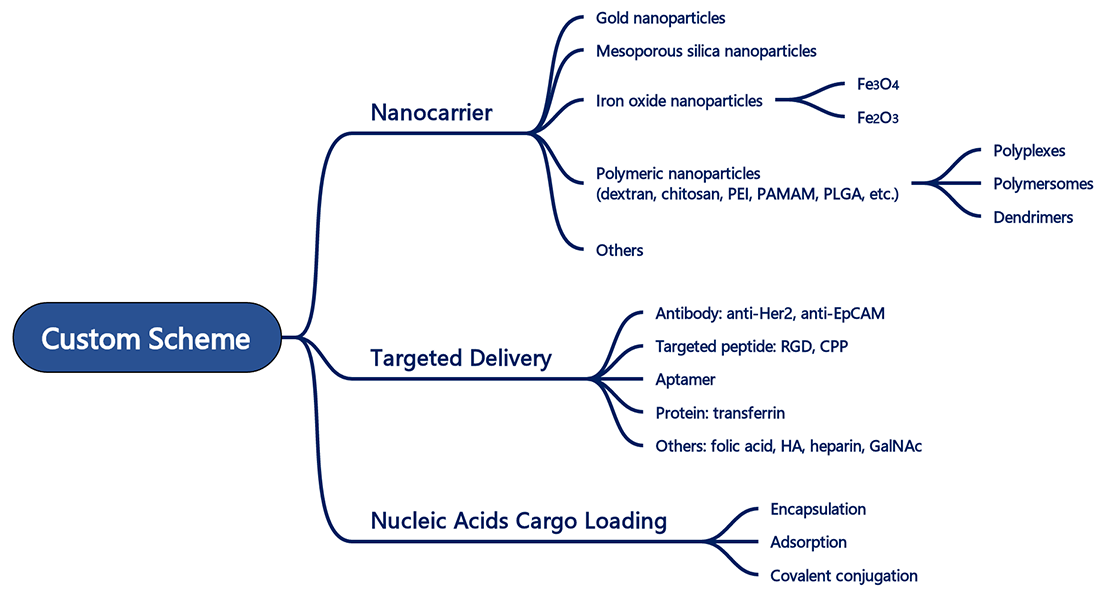 CD Bioparticles Launches Custom Nucleic Acid Delivery Particle Synthesis Services to Accelerate Gene Therapy and Research