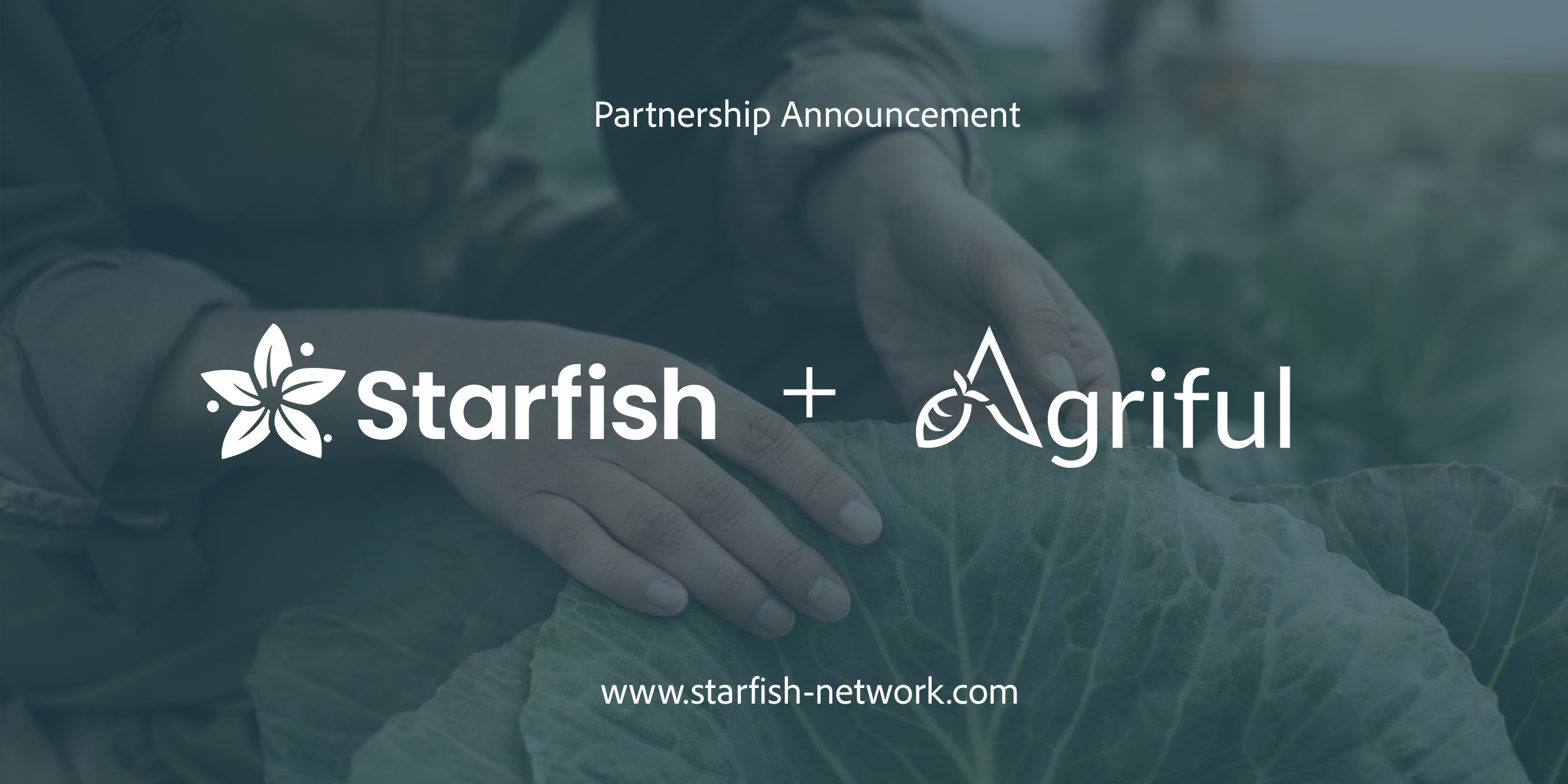 Agriful and Starfish Announce Strategic Partnership to Streamline Traceability and Data Sharing Across the Produce Supply Chain