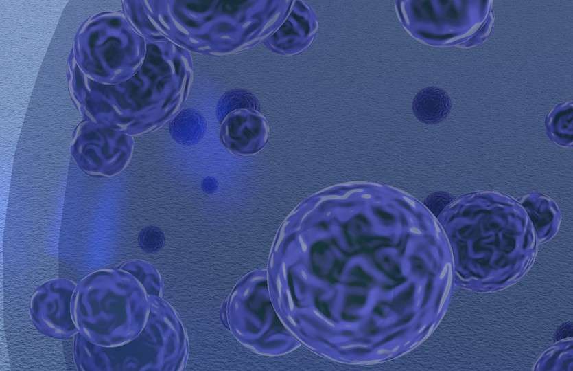 CD Bioparticles Announces Comprehensive AAV Vector Design Services to Advance Gene Therapy Research