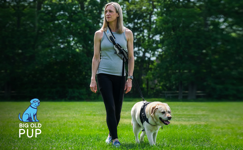 Big Old Pup’s Revolutionary 5-in-1 Hands-Free Dog Leash System Will Transform the Pet Walking Experience
