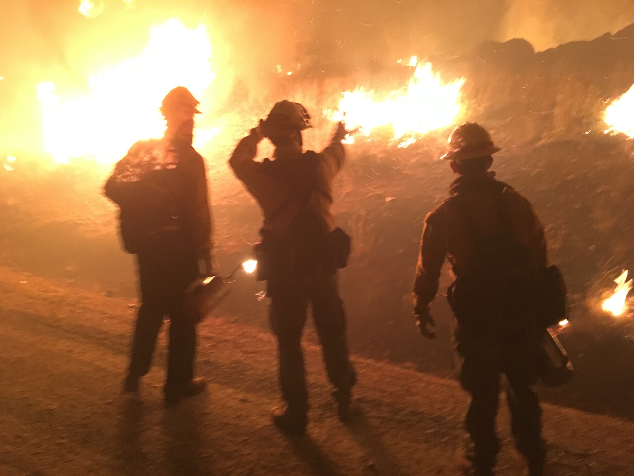 Firefighter Frank Dahlquist on the 2025 Wildfire Season: “A Welcome Decline, but the Work Isn’t Over”