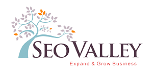 SEOValley Solutions Private Limited logo