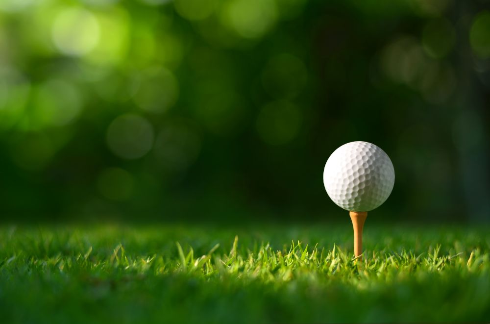 Virtual Tee’s Big Dog GSPro Golf Championship Continues into the Semifinals