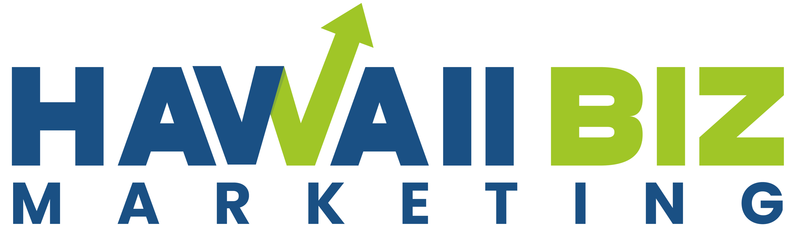 Hawaii Biz Marketing logo