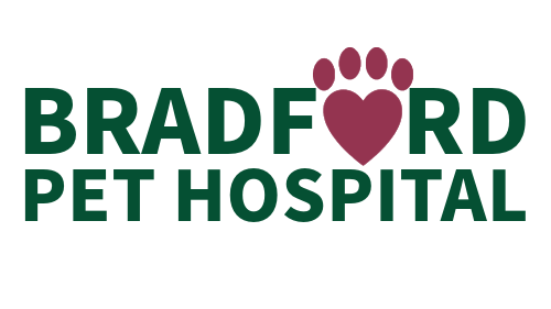 Bradford Pet Hospital logo