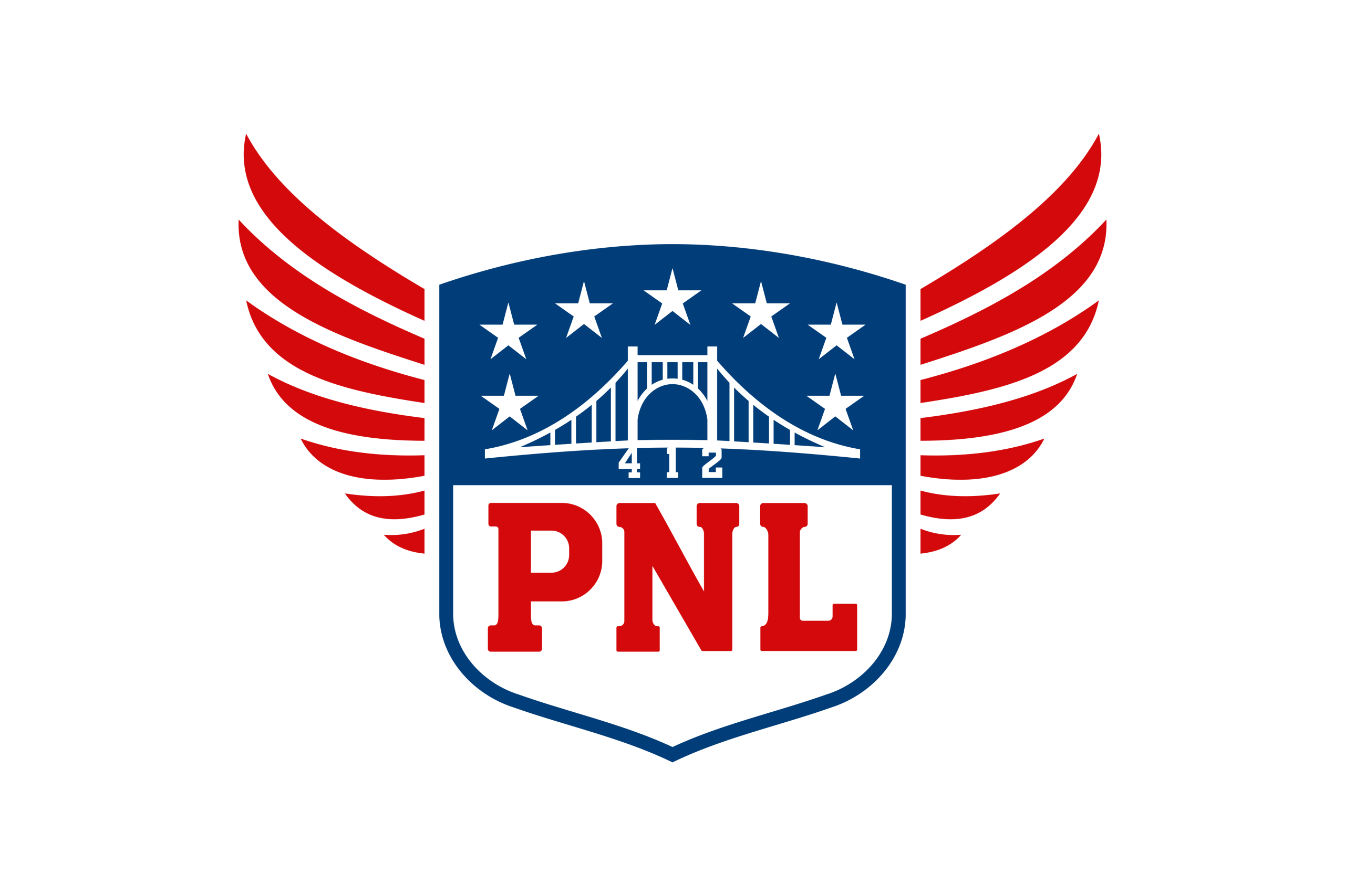 Pittsburgh NFL League